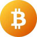 Bitcoin icon